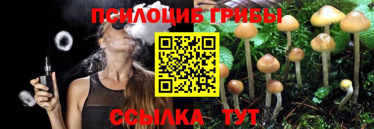 Псилоцибиновые грибы GOLDEN TEACHER  Псилоцибиновые грибы Magic Shrooms  Вход с VPN  Донской 